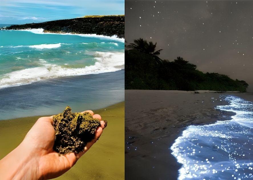 Cursed Sand and Other Secrets of the Most Unique Beaches!