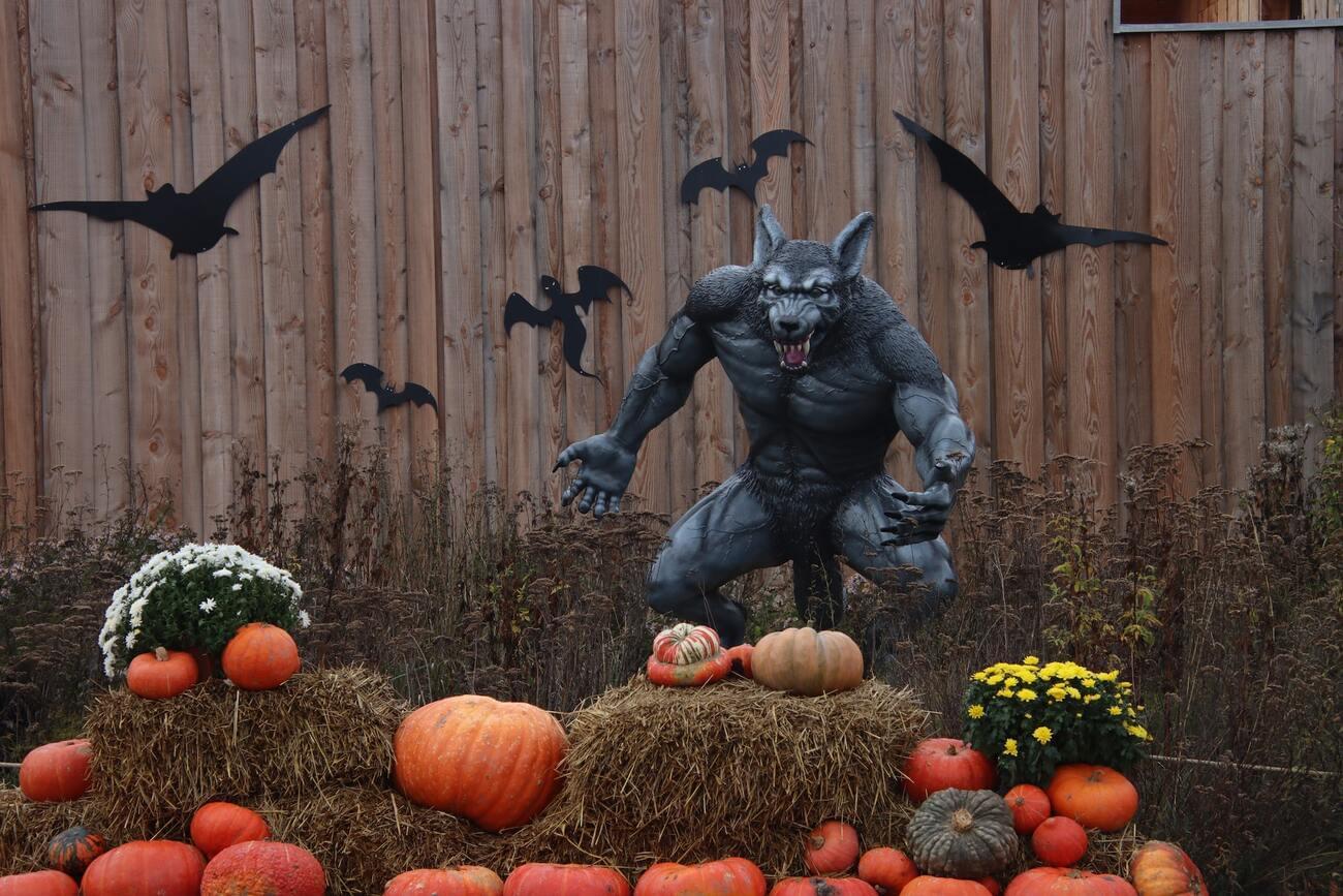 Parade of werewolf cats and other interesting facts about how Halloween is celebrated in different countries