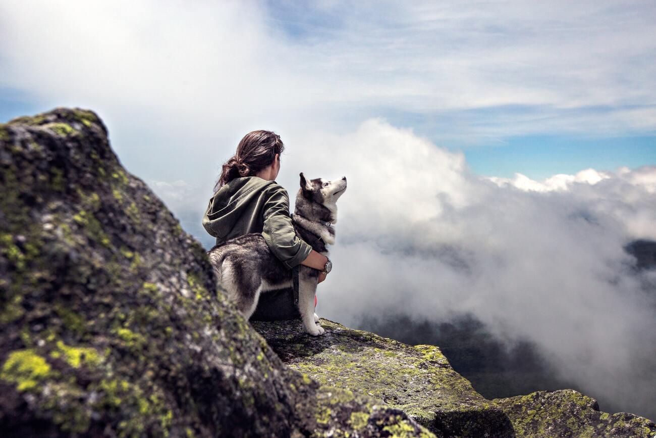 3 photo stories about dogs that are more touching than Hachiko