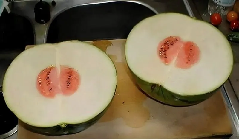 25. The Worst Watermelon. Ever. .jpg?format=webp