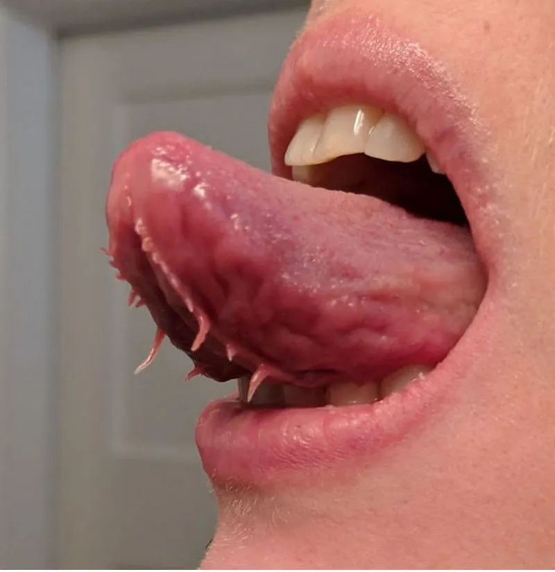 36. Tentacles under the Tongue .jpg?format=webp