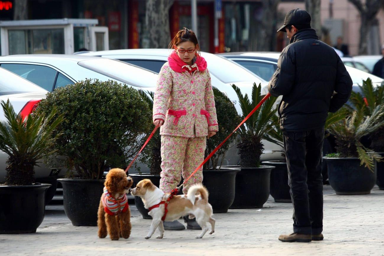 Depositphotos_244305702_L (1) (1).jpg?format=webp