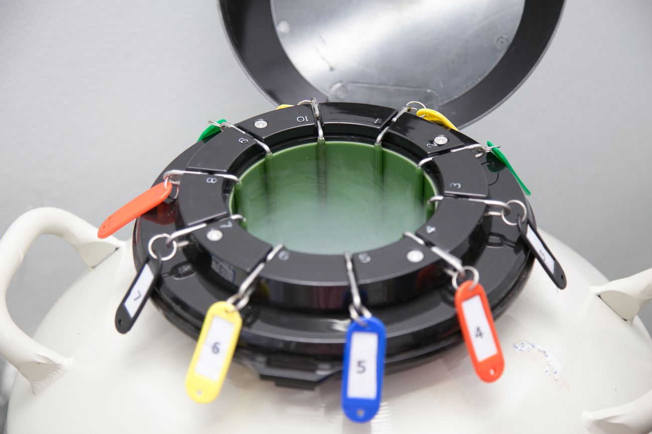 Depositphotos_331959856_L (1).jpg?format=webp