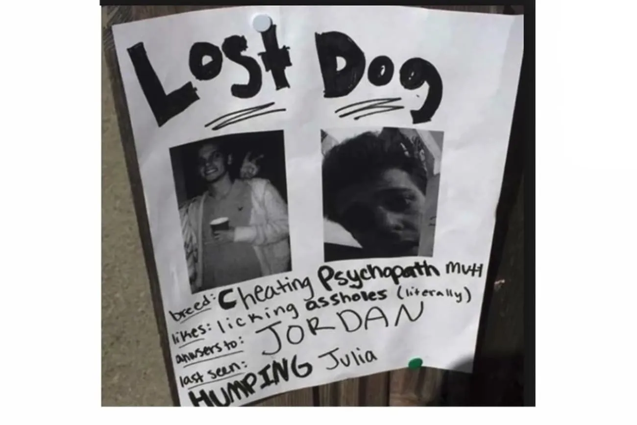 Lost dog.jpg?format=webp