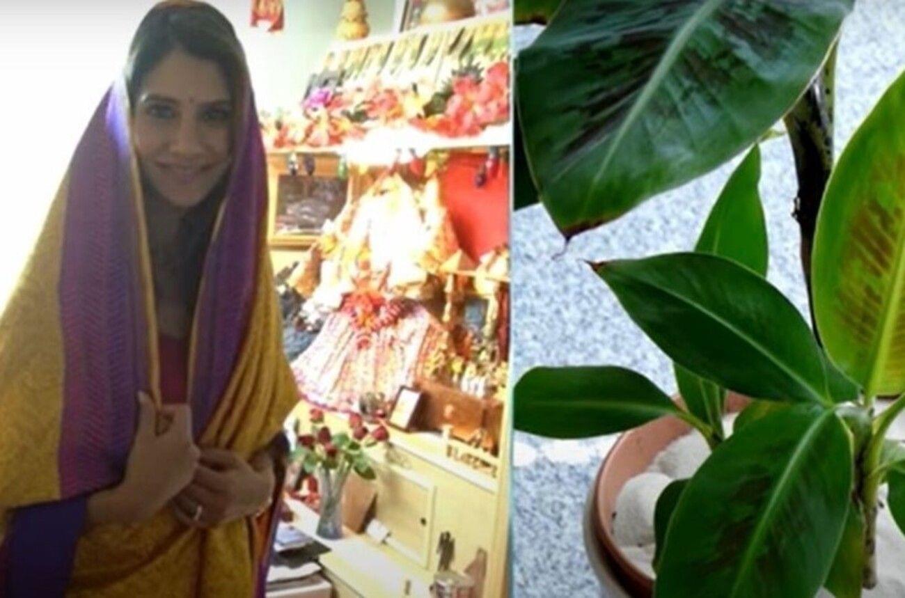 india  (3).jpg?format=webp