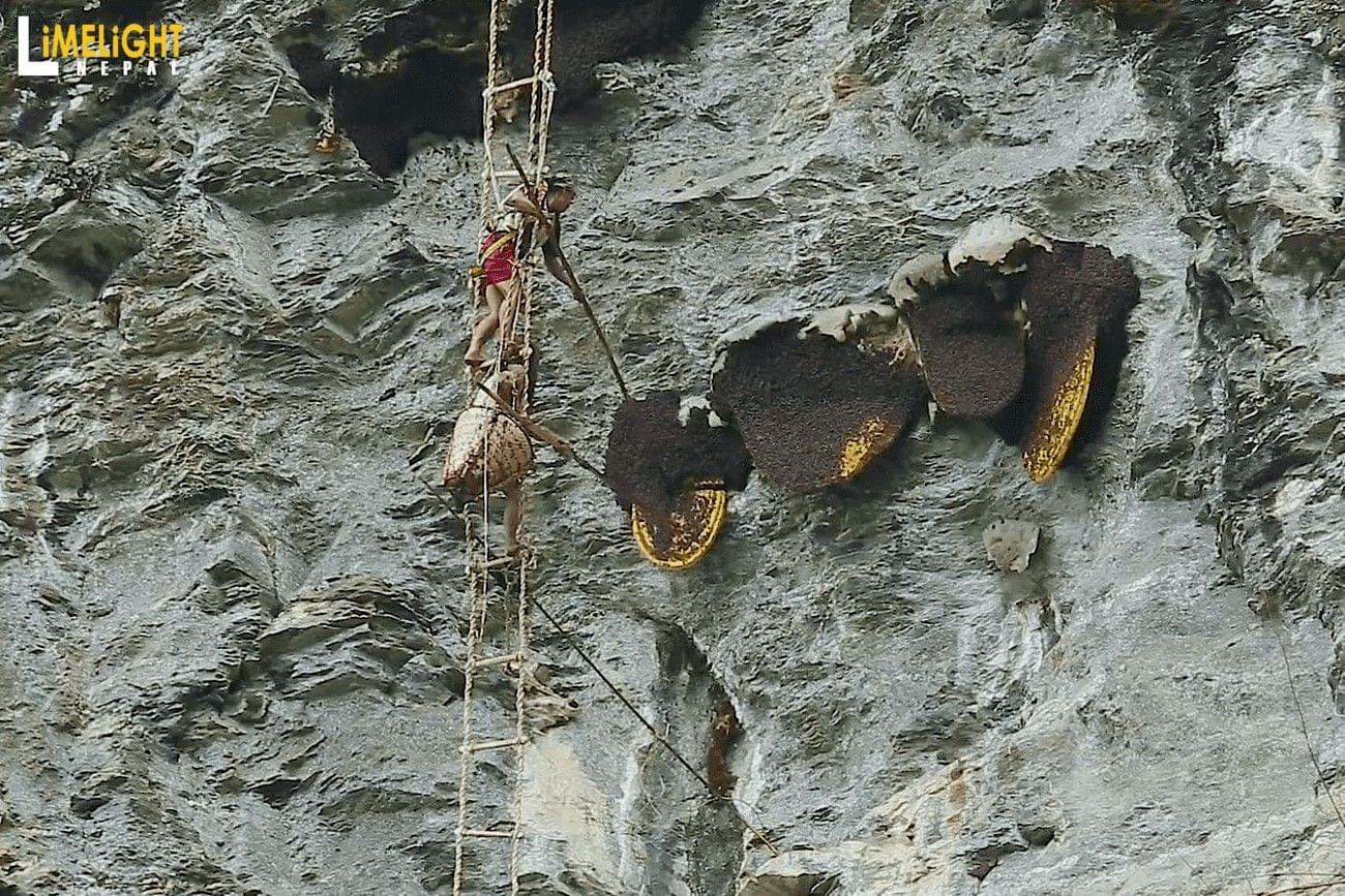 nepal.jpg?format=webp